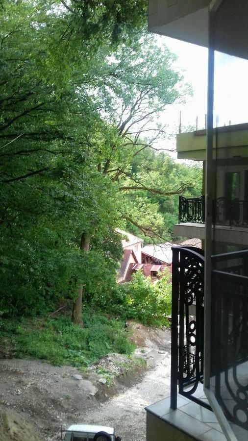 Apartament Ramona Braşov Exterior foto