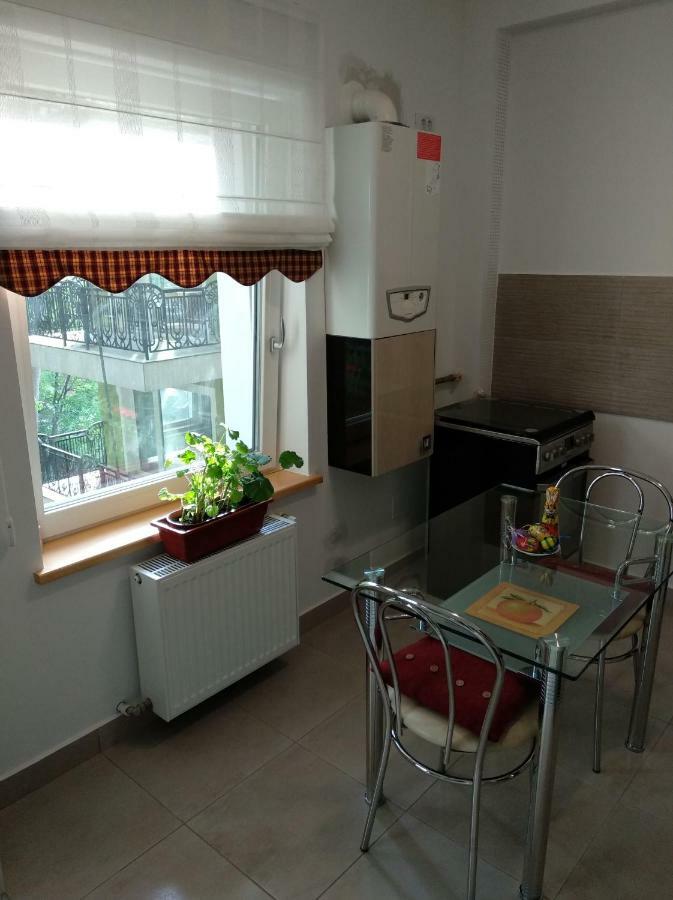 Apartament Ramona Braşov Exterior foto