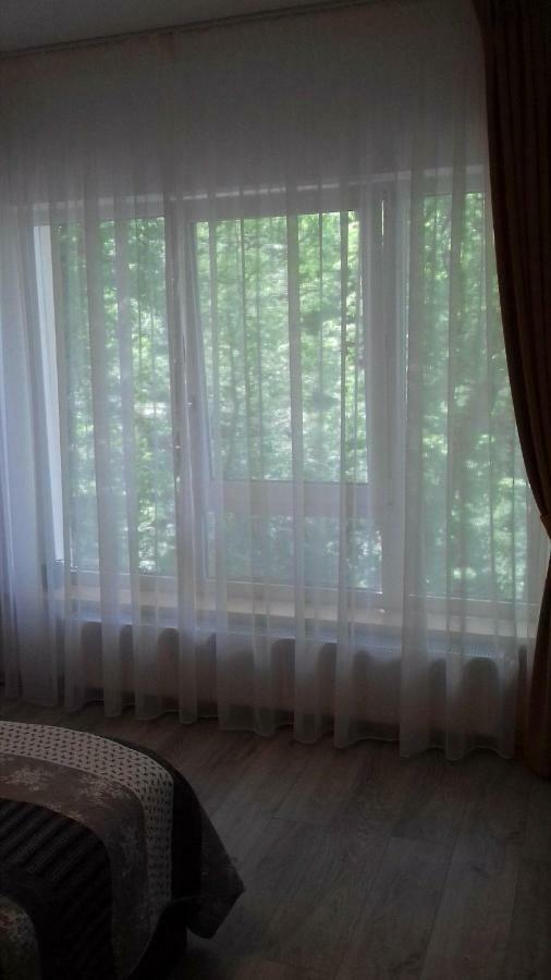 Apartament Ramona Braşov Exterior foto