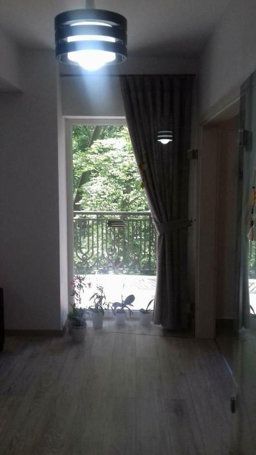 Apartament Ramona Braşov Exterior foto